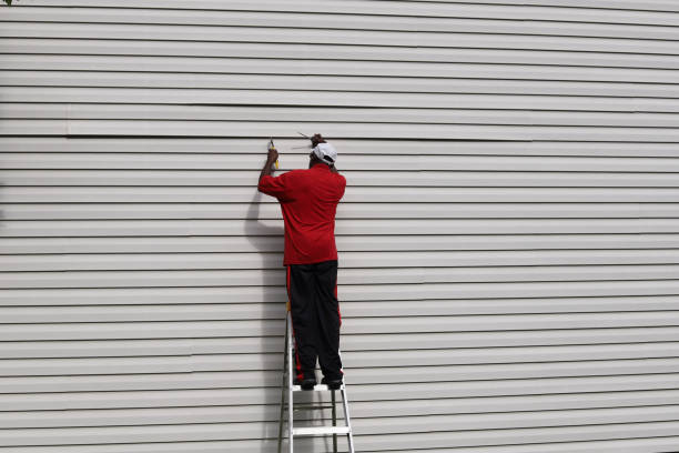 Best Brick Veneer Siding  in Hanover, IN
